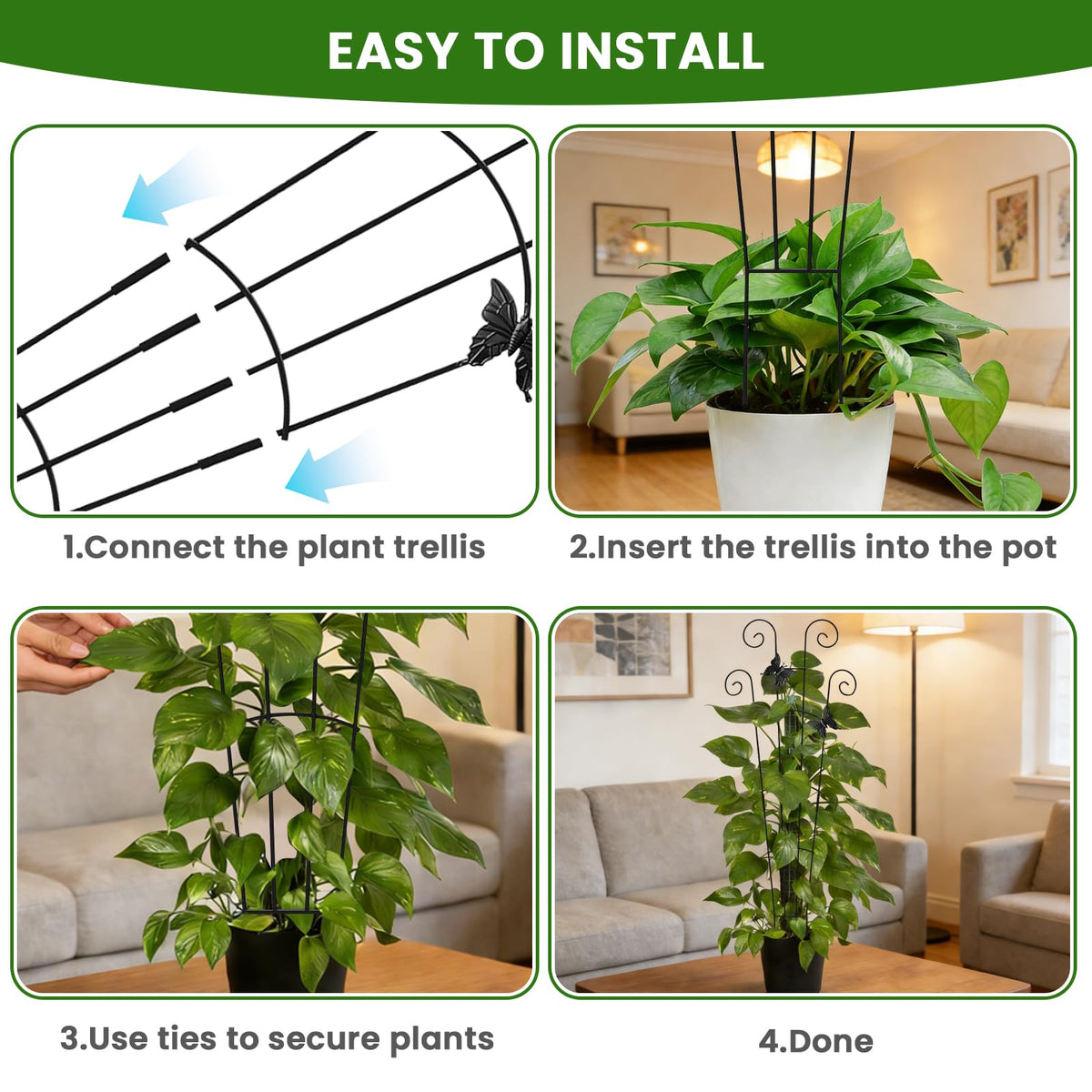 Mejenyy vines climb more confidently with durable trellis support.
