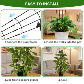 Mejenyy vines climb more confidently with durable trellis support.