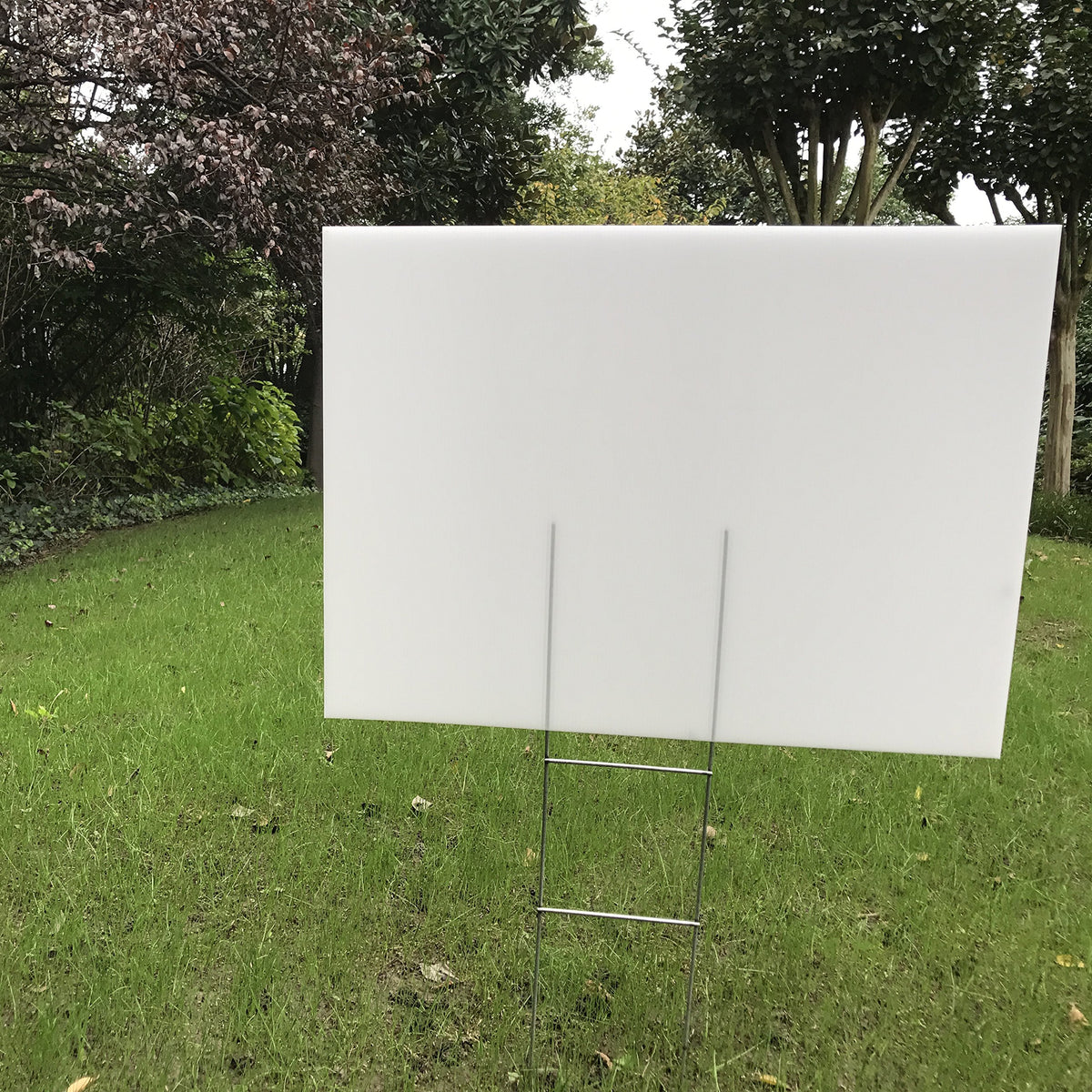 MEJOR CONOCIDO white background signs provide a clean surface for colors.