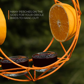 MEKKAPRO Sun Baltimore Oriole Feeder with detachable jelly cups for easy cleaning