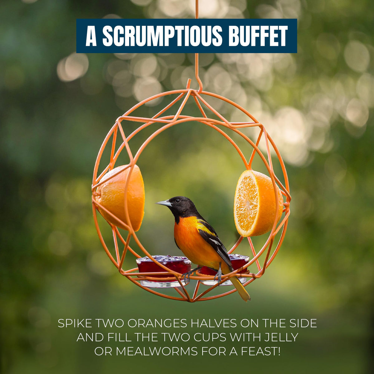 MEKKAPRO Sun Baltimore Oriole Feeder shows four feeding options for garden birds