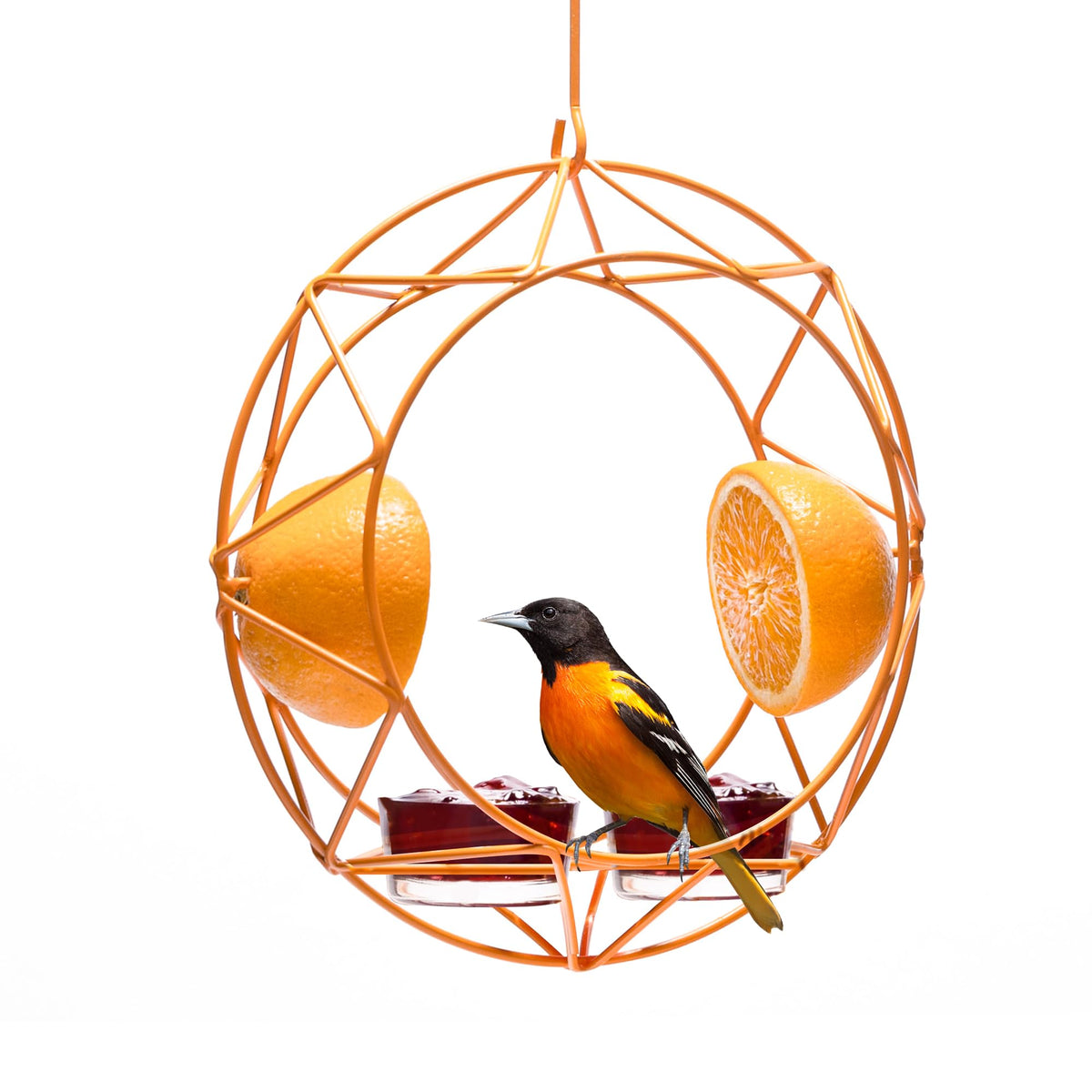 MEKKAPRO Sun Baltimore Oriole Feeder open-wire frame invites orioles to forage in sunlit view