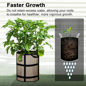 MEKOLIFE potato varieties Russet and Yukon Gold in grow bags