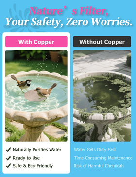 Mellbree 2-pack disks installed in a bird bath for extended cleaning cycles