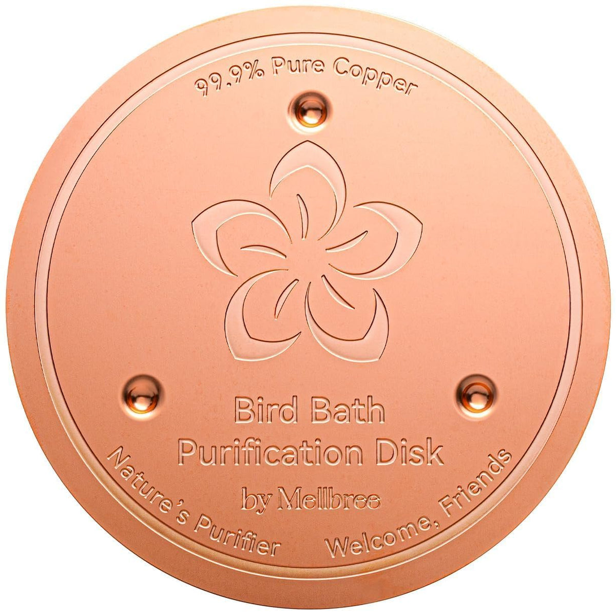 Mellbree bird bath copper disc – overall view showing cleaner water potential.