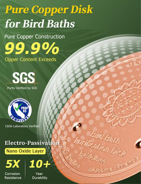 Mellbree Bird Bath Copper Disc diameter 0-6mm close-up of copper surface