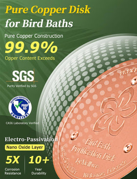 Mellbree copper disc in water – steady cleaning performance with extended intervals.