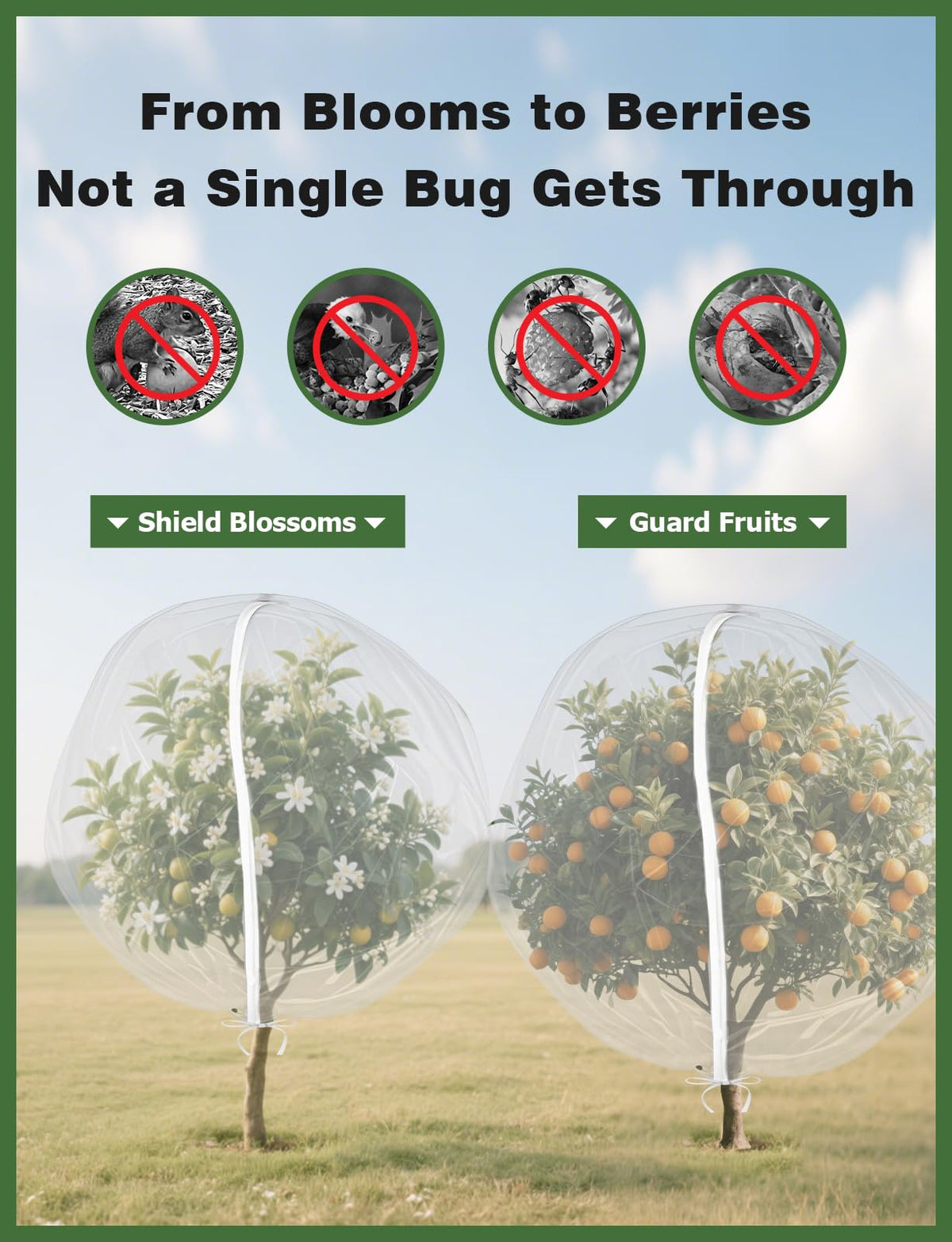 Mellbree drawstring securement around plant for protection