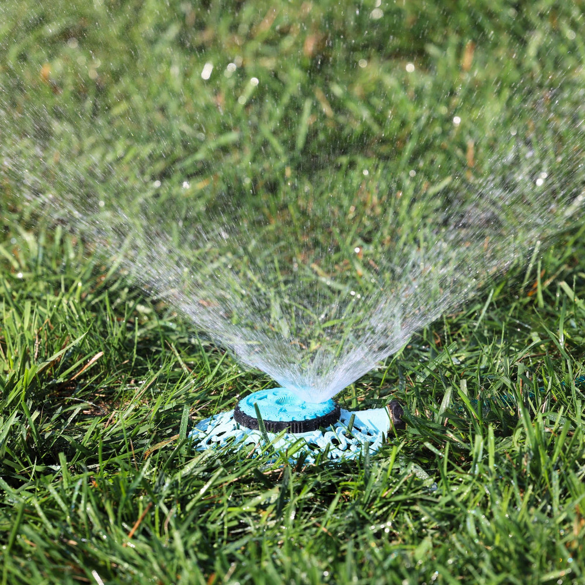 Melnor Sprout Rotary watering patterns support efficient coverage.