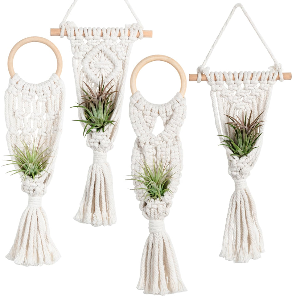 Melphoe air plant hanger closeup with cotton cord for rustic texture in living spaces