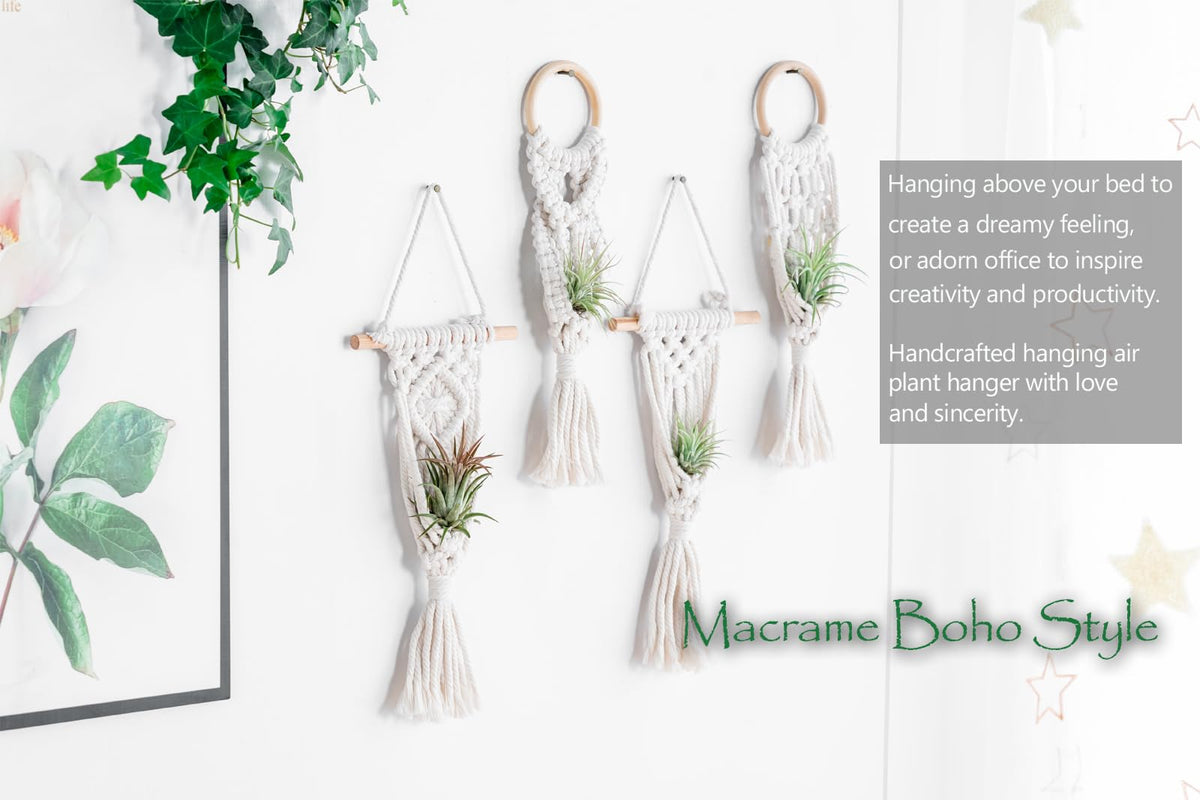 Melphoe boho decor air plant display enhances shelf or windowsill