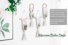 Melphoe boho decor air plant display enhances shelf or windowsill