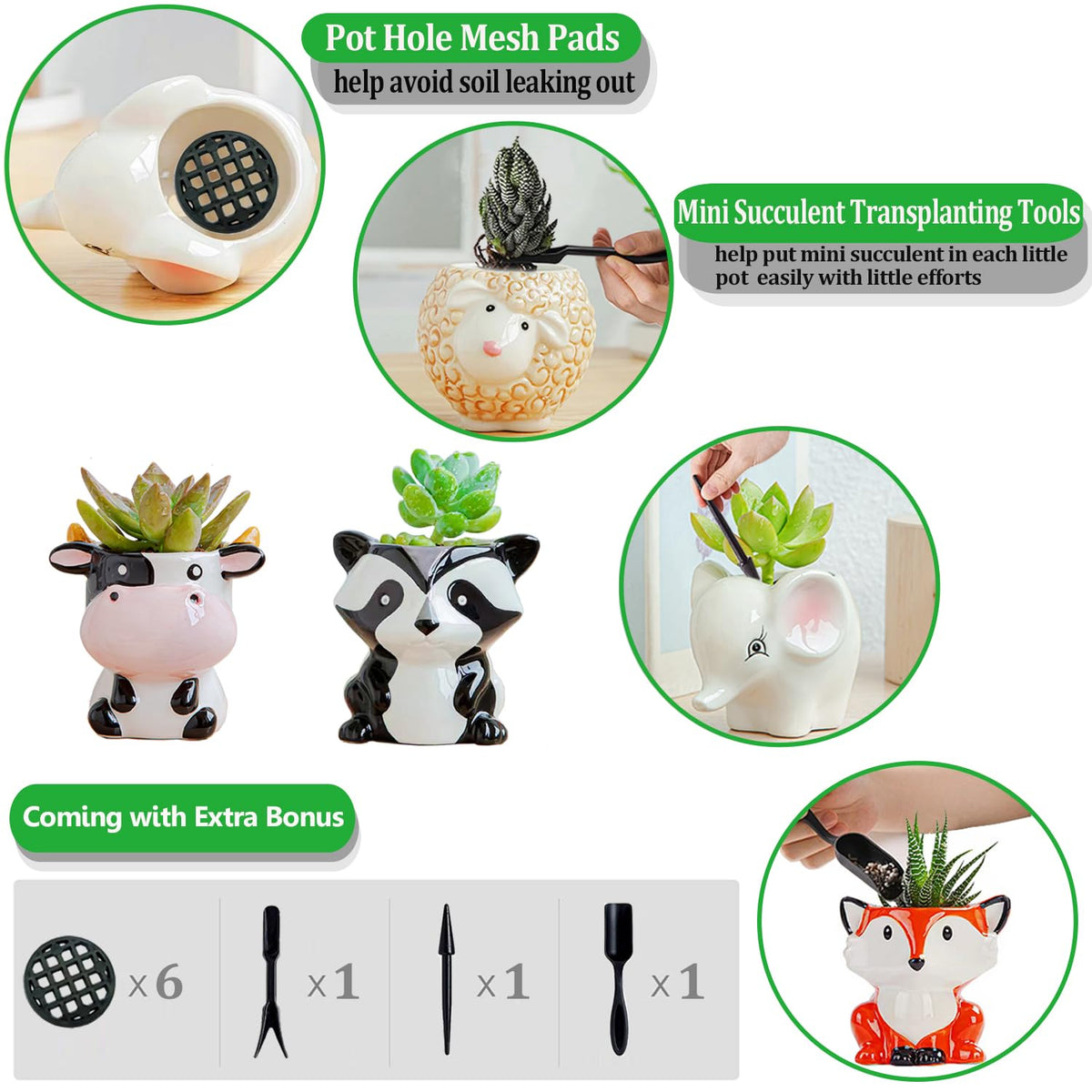 Melphoe desk-ready mini planter set brightens windowsill and workspace