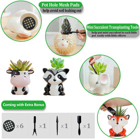 Melphoe desk-ready mini planter set brightens windowsill and workspace