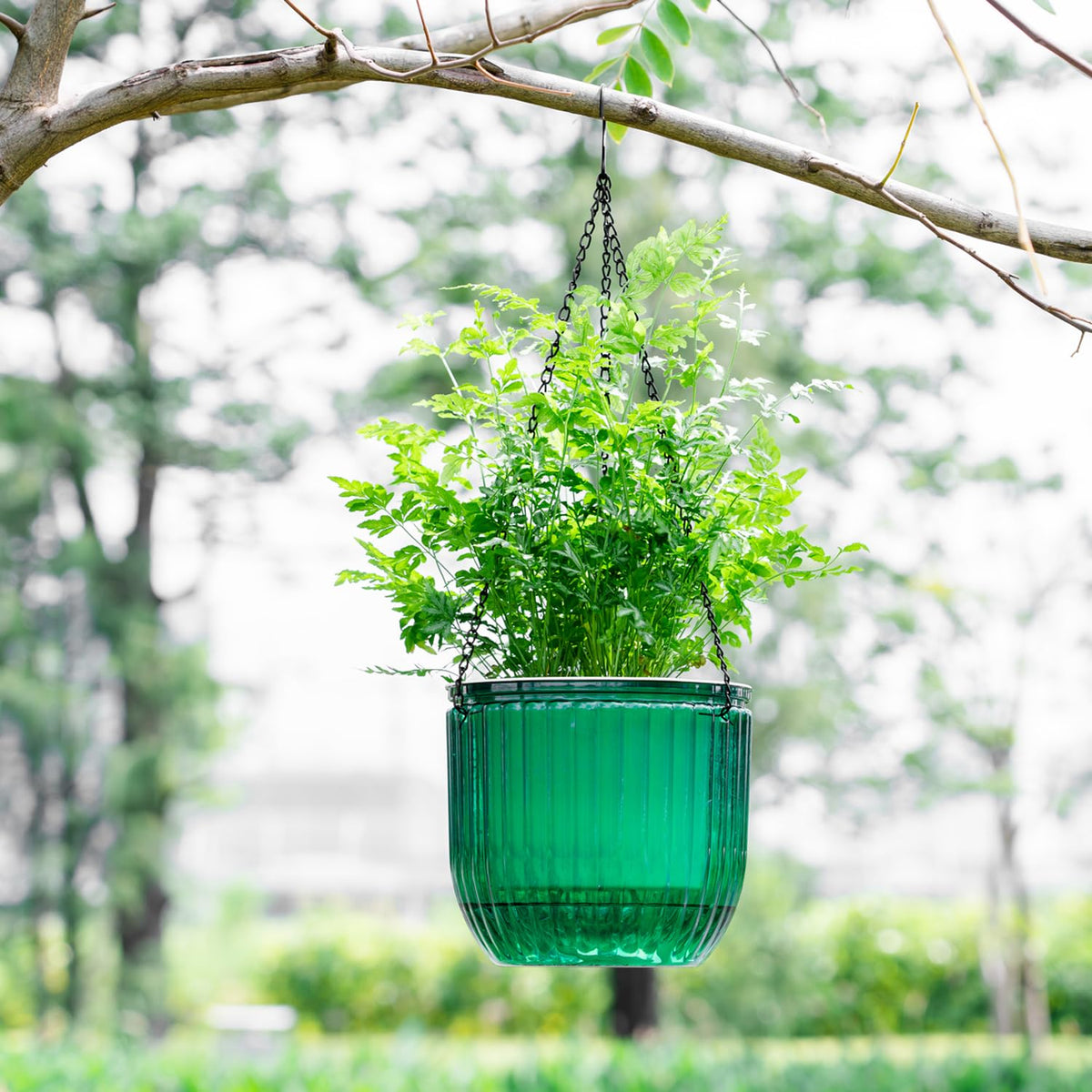 Melphoe detachable hanging chains simplify placement on patio or windowsill