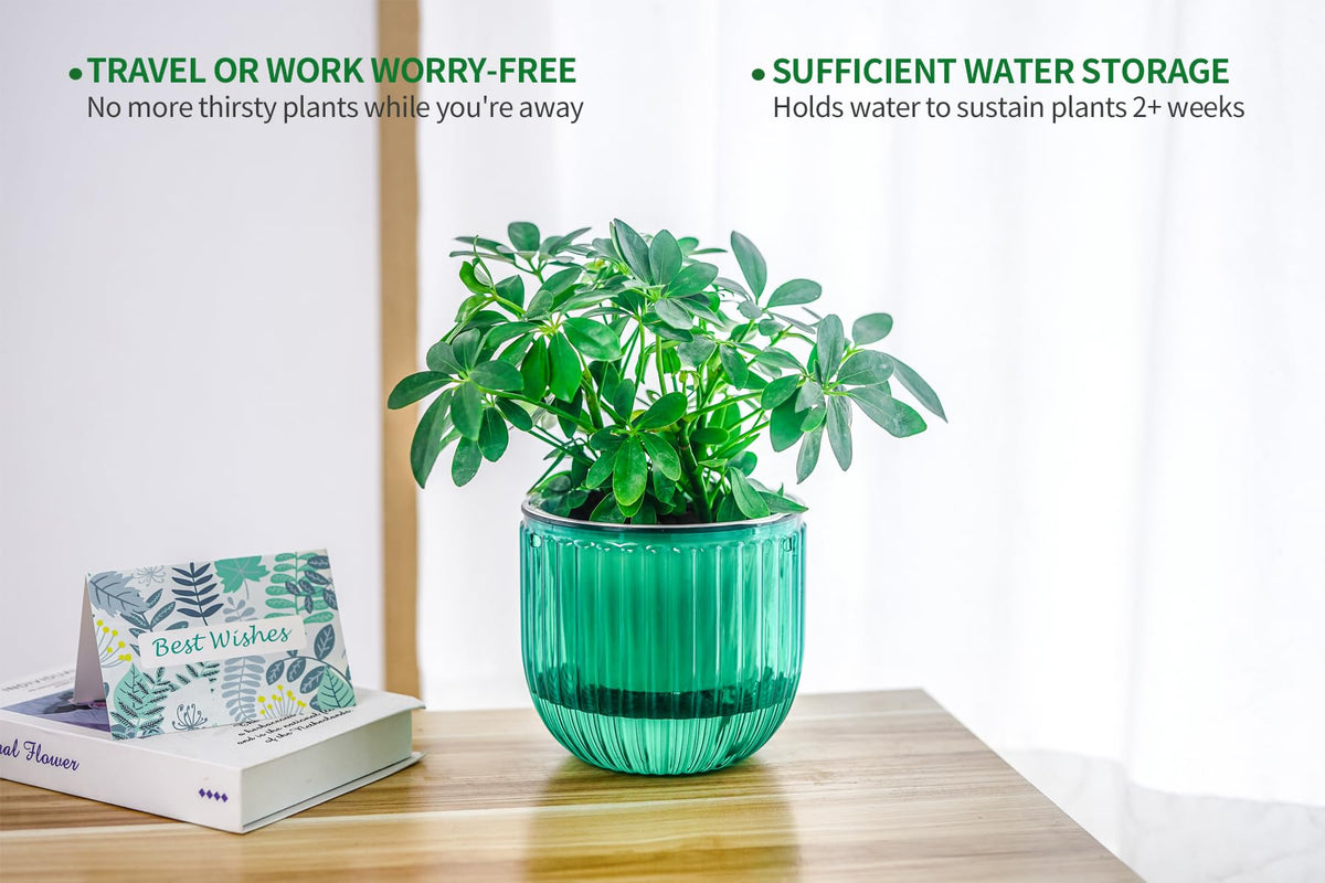 Melphoe emerald hanging planter suitable for indoor and outdoor spaces.