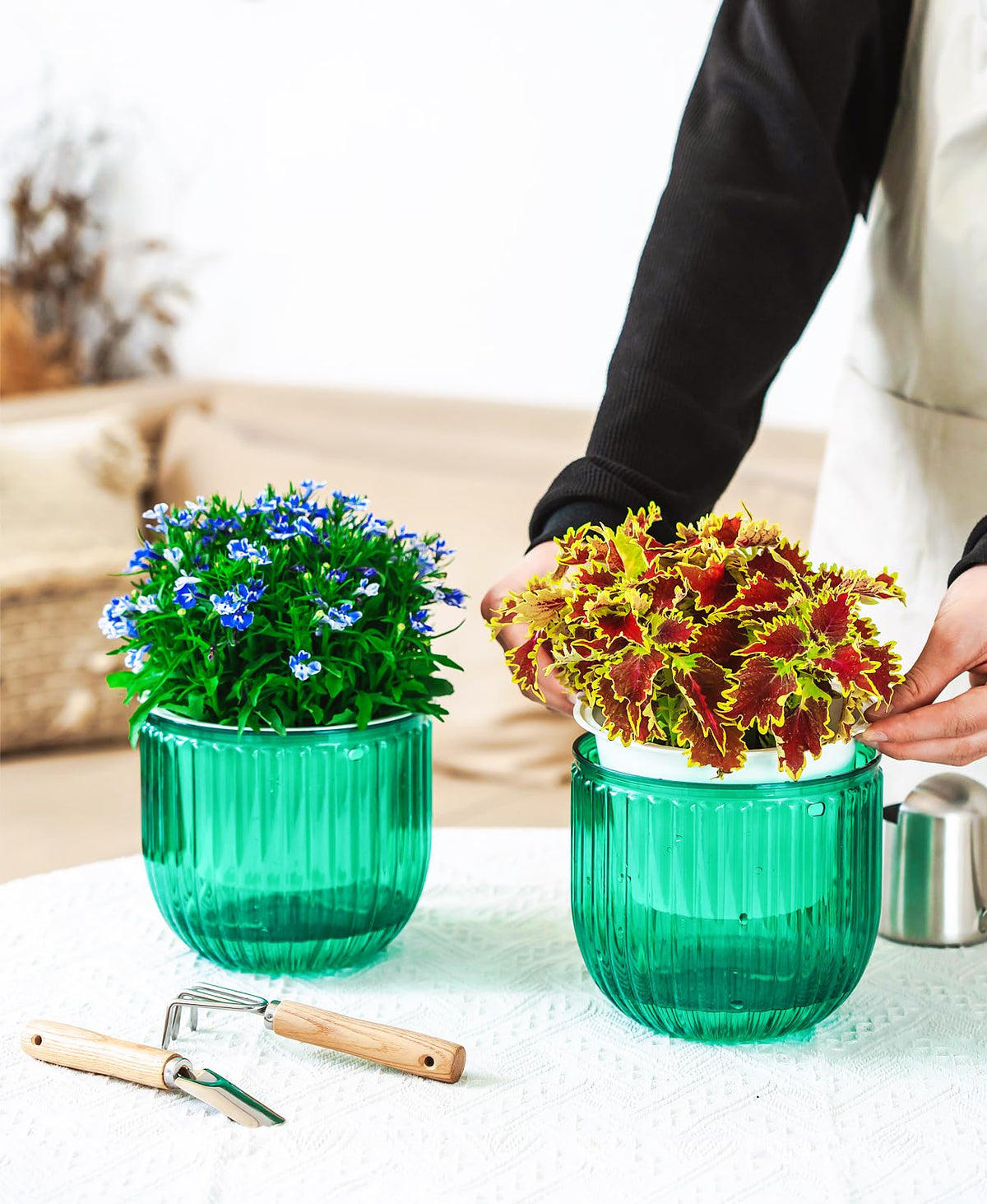 Melphoe emerald plant planters support various plant types and arrangements.
