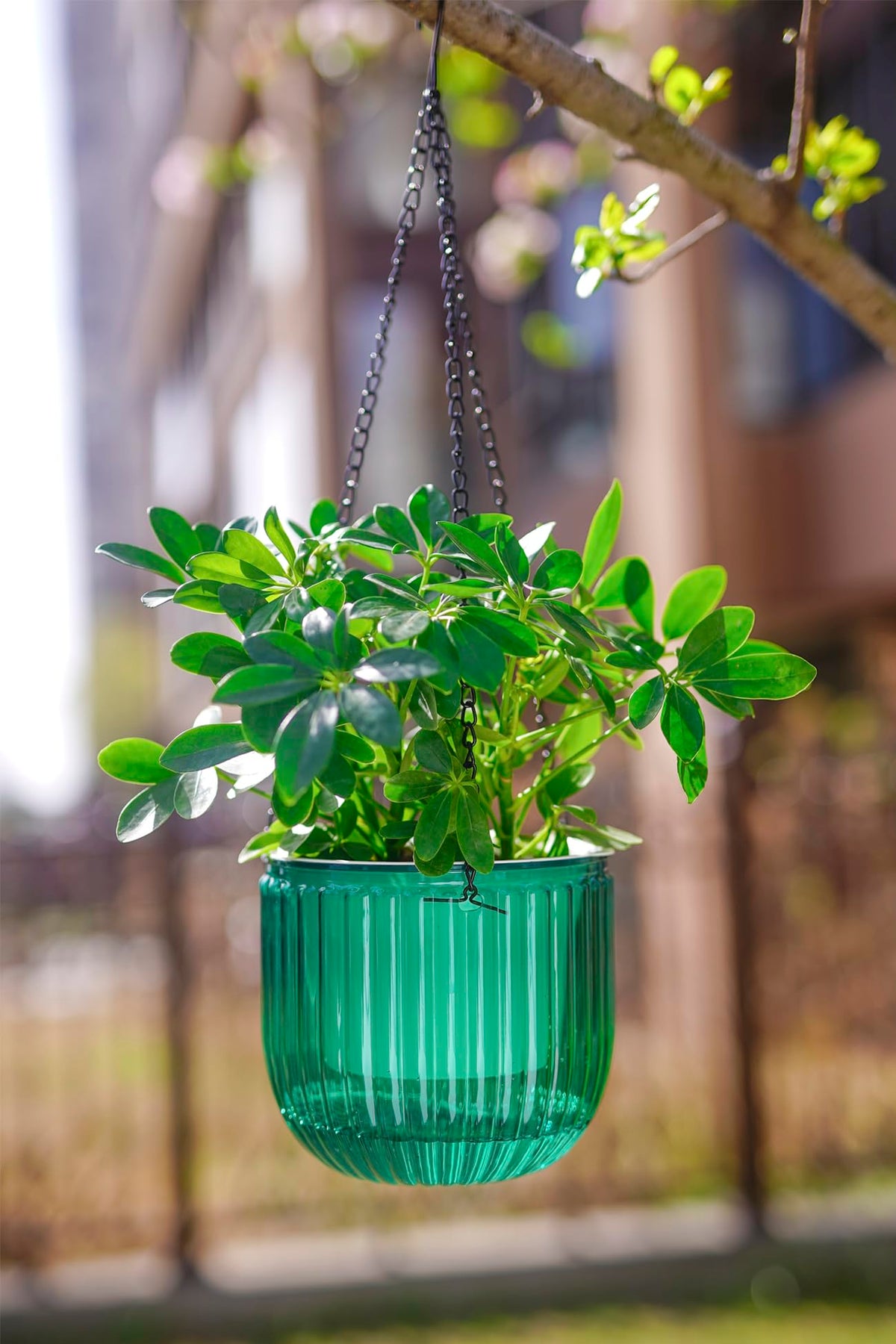 Melphoe emerald planter uses rust-resistant chain for durable hanging.