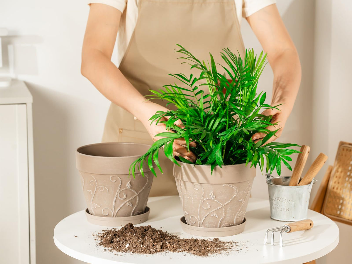 Melphoe fade-resistant 7inch pot withstands sun and seasonal changes.