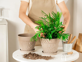 Melphoe fade-resistant 7inch pot withstands sun and seasonal changes.