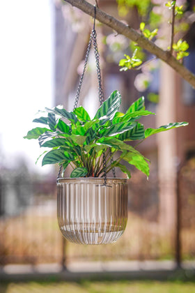 Melphoe flat-bottom design lets the planter sit stably on a table.