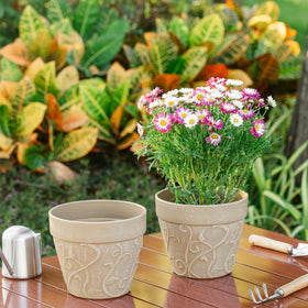 Melphoe ideal-succulent-herb-pot 7inch keeps small plants tidy and organized.