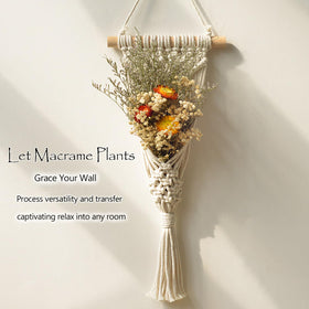 Melphoe indoor-outdoor hanging planter ready for indoor or covered outdoor use