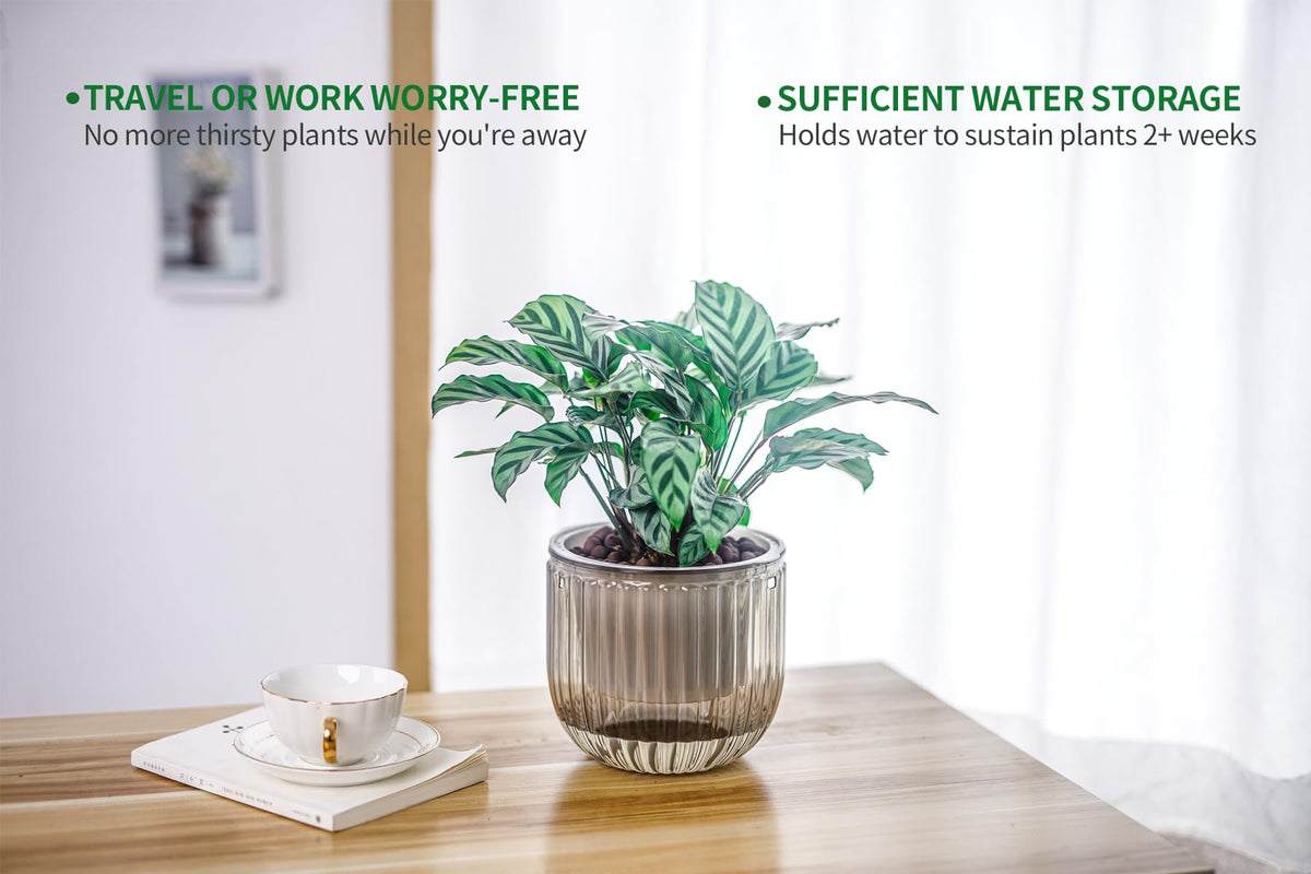Melphoe planter on an indoor windowsill demonstrates versatile placement for herbs and décor.