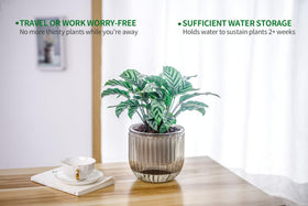 Melphoe planter on an indoor windowsill demonstrates versatile placement for herbs and décor.