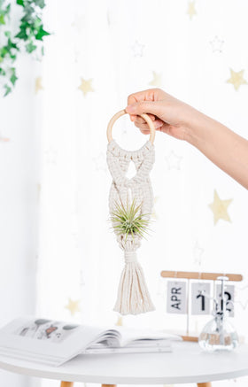 Melphoe macrame plant hanger wide view showing versatile design