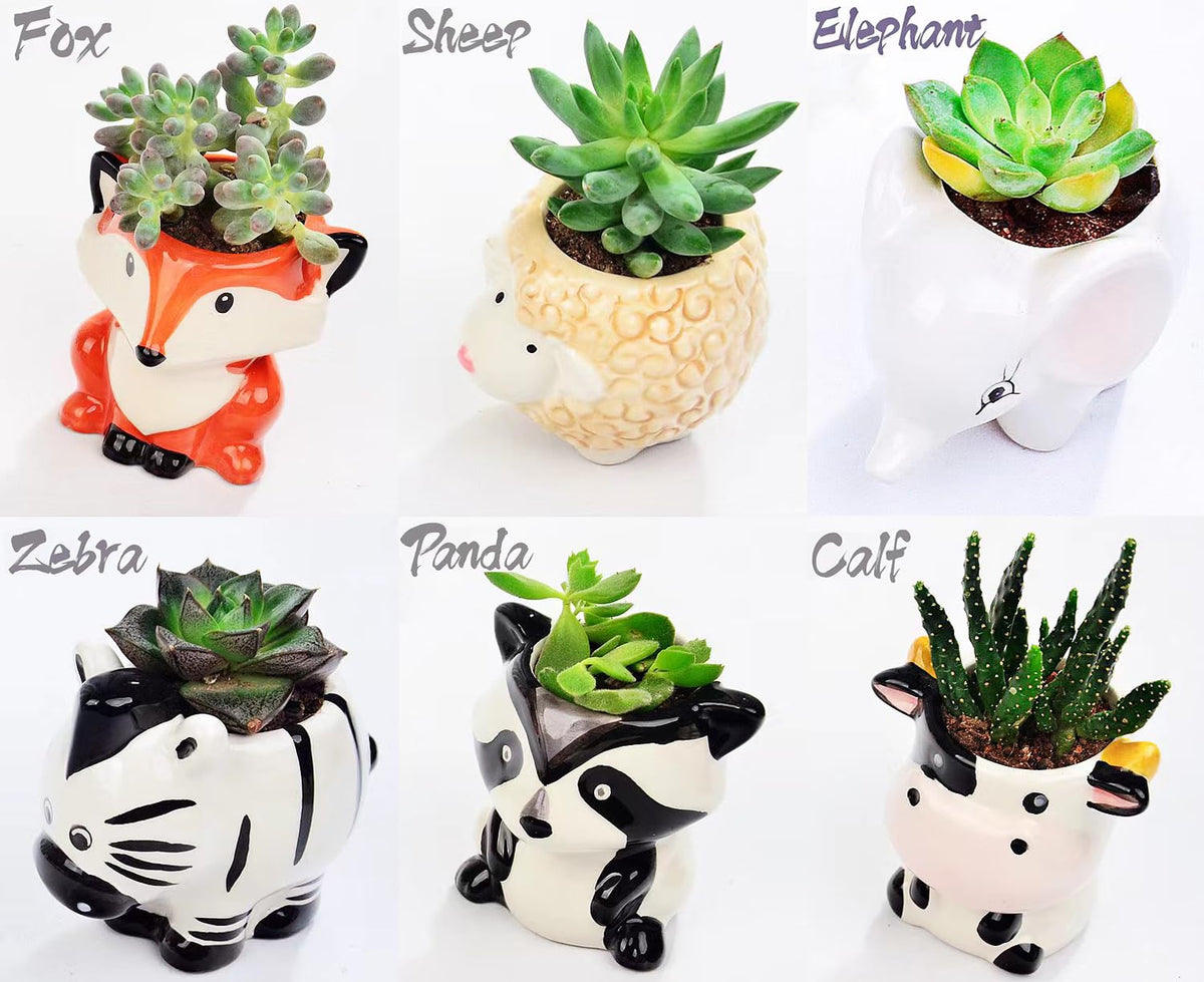 Melphoe mini ceramic pots with drainage holes for succulents or herbs
