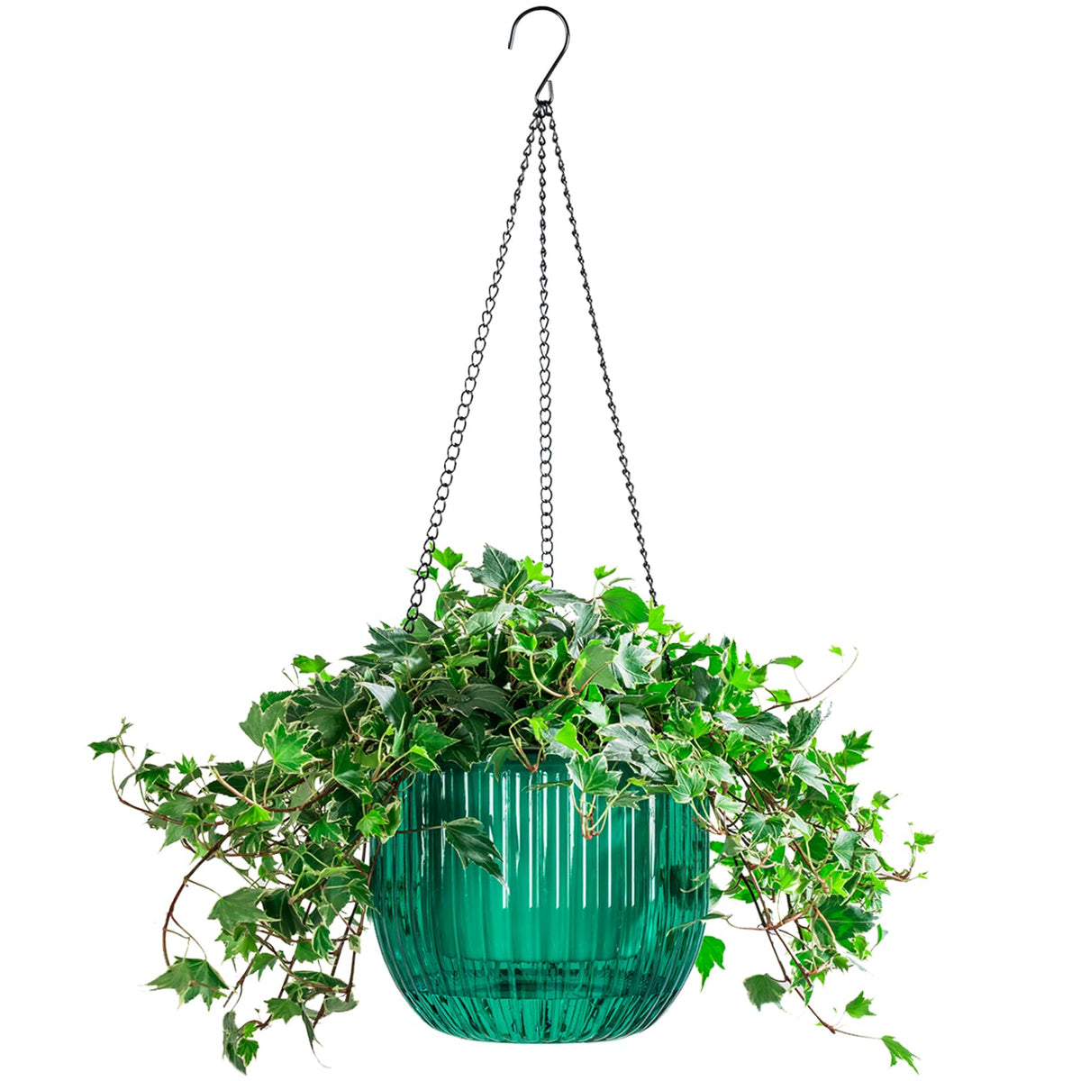 Melphoe self-watering hanging planter front view keeps soil moist for days