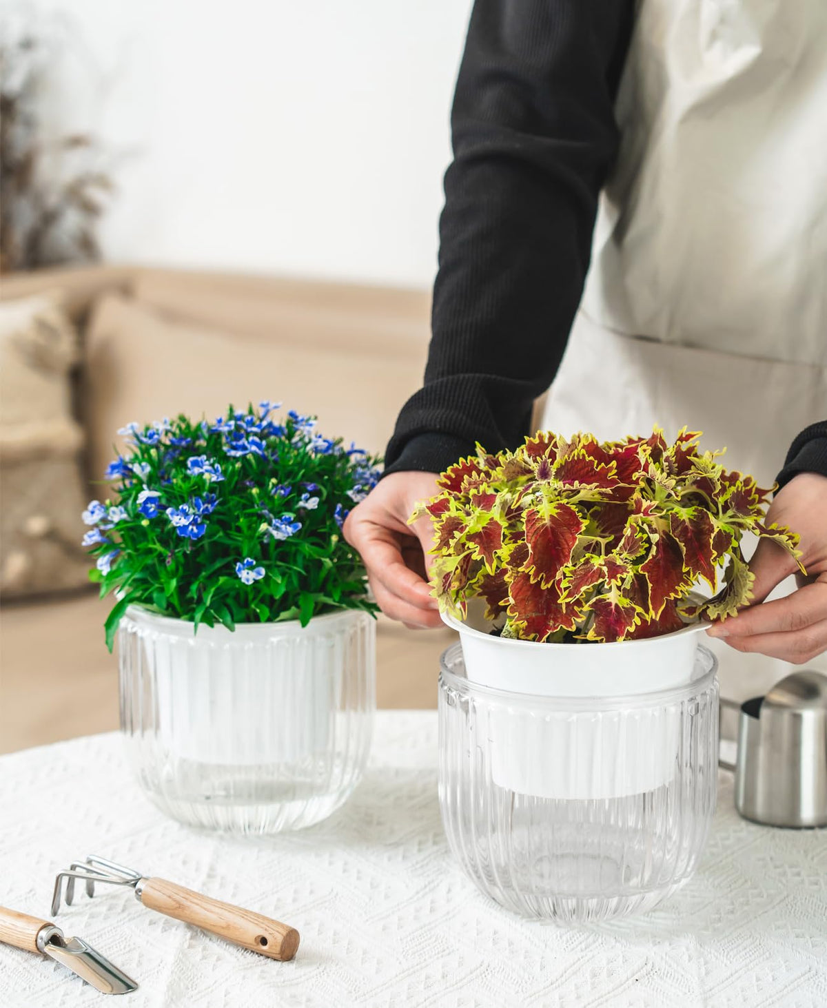 Melphoe plant-fit design suits succulents, herbs, and trailing varieties