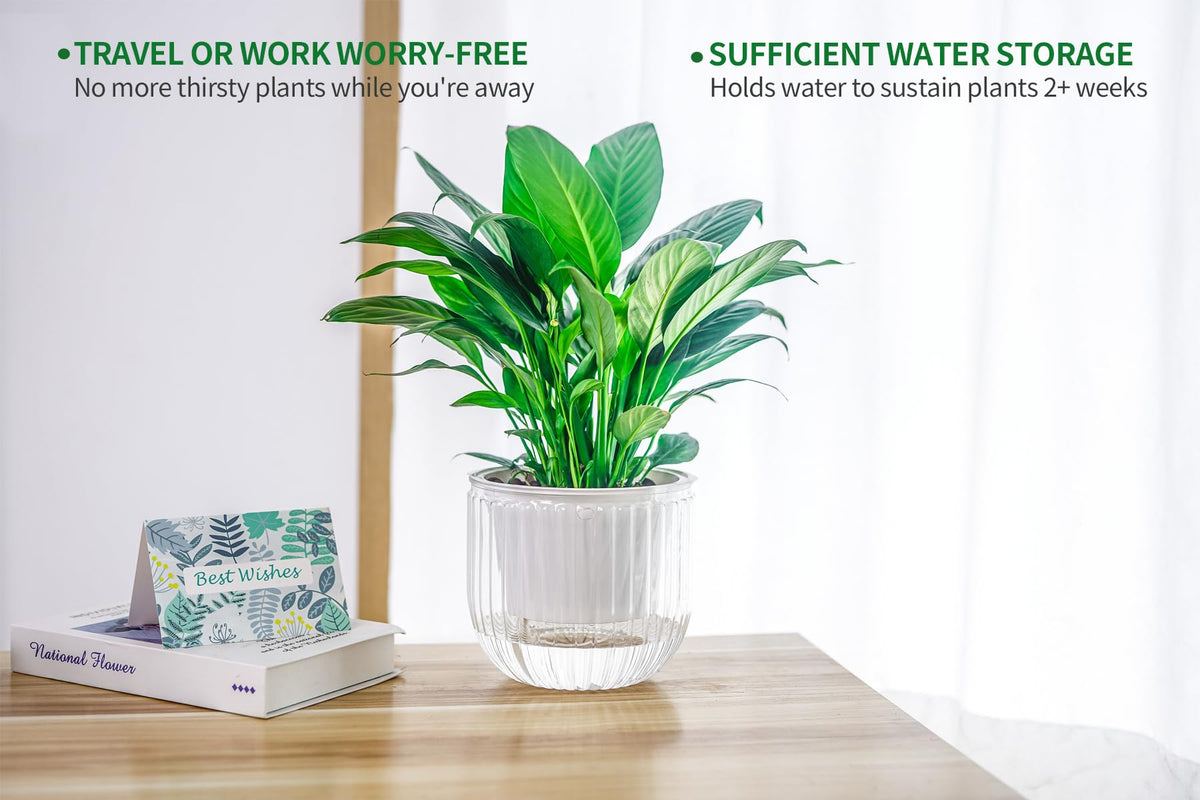 Melphoe versatile hanging planter for indoor and outdoor placement
