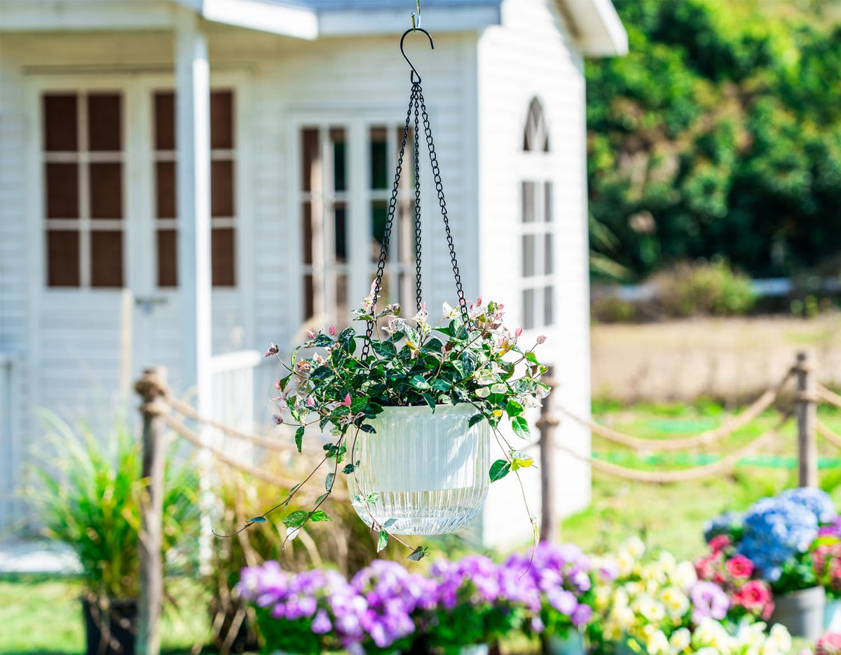 Melphoe planter water level visible through PET window for easy topping