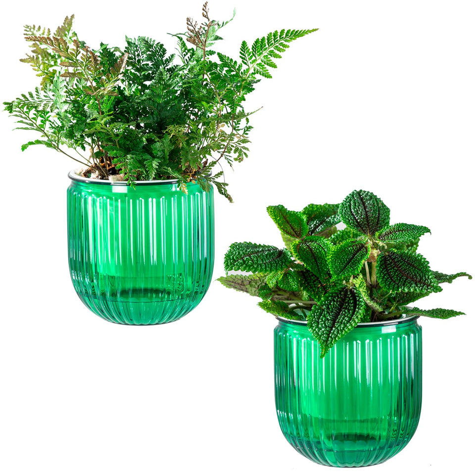 Melphoe self-watering pot with double-layer design keeps soil evenly moist.