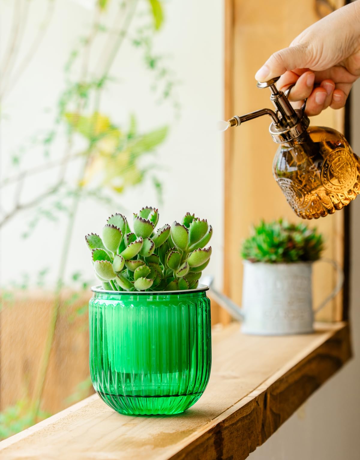 Melphoe self-watering pot offers size variants for different plants.