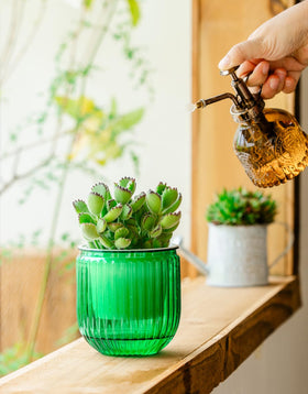 Melphoe self-watering pot offers size variants for different plants.