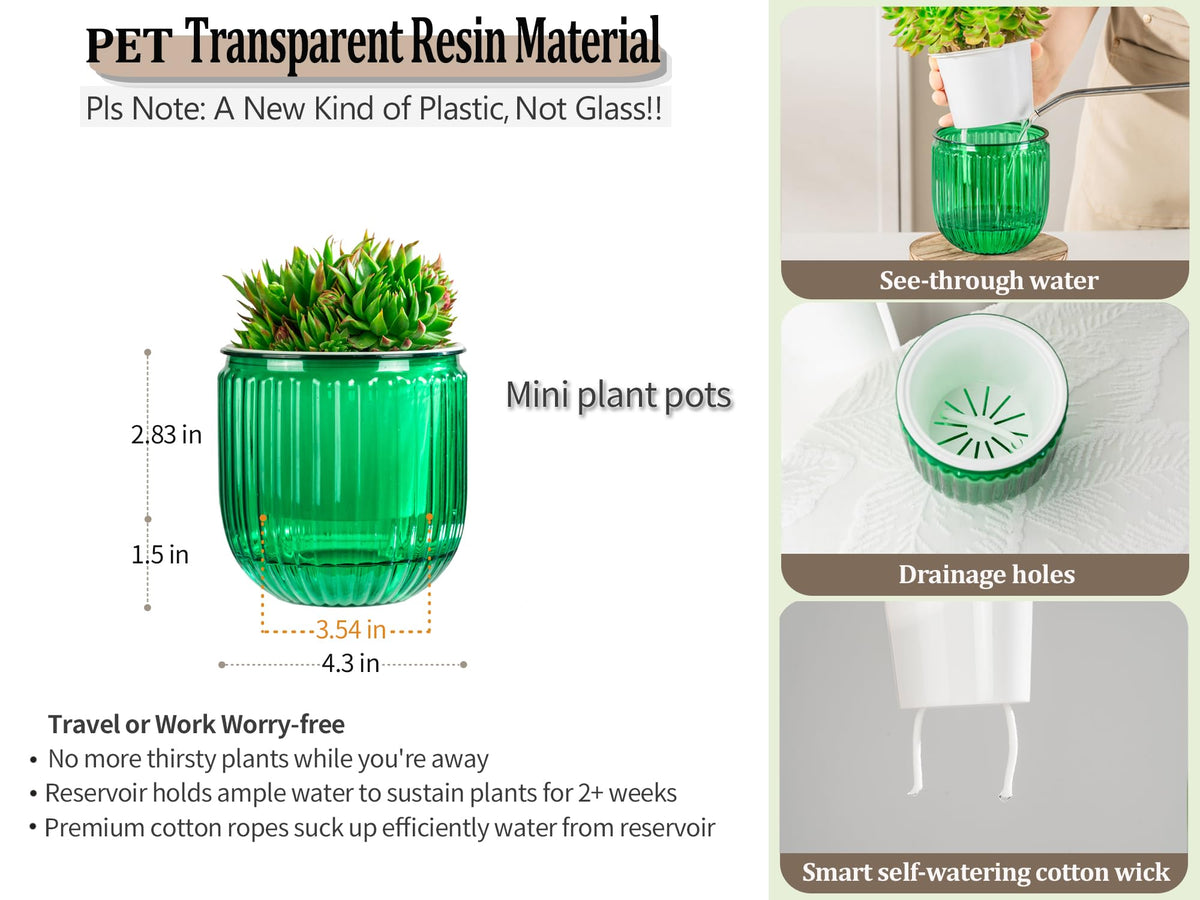 Melphoe transparent resin pot highlights water status for easy care.