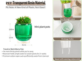 Melphoe transparent resin pot highlights water status for easy care.