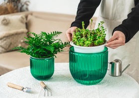 Melphoe versatile emerald planter can hang or sit on a desk