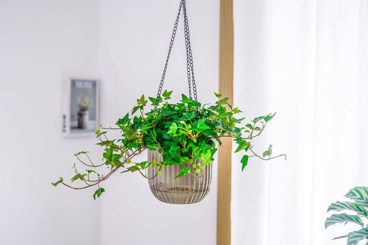 Melphoe water-wicking system quietly feeds plants between fills.