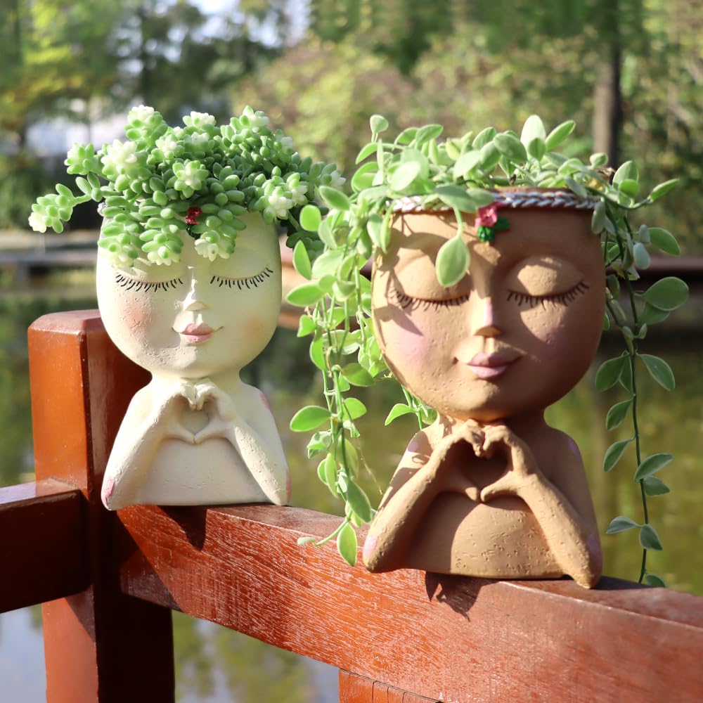 Meltset M Face Planter Opening 3.5 inches suited for lush soil and small plants