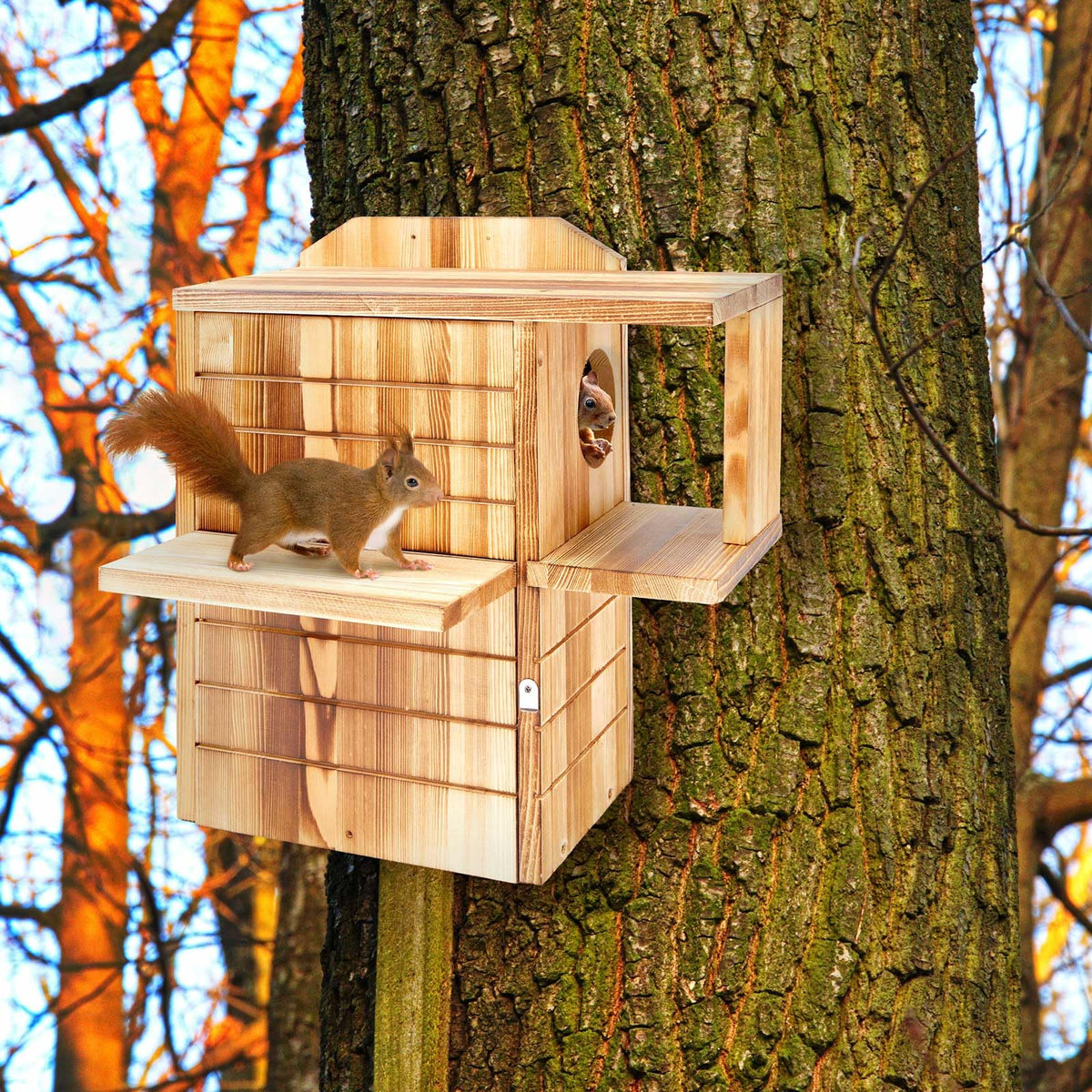 Memorywuu spacious wooden retreat promotes comfortable nesting and activity for a family