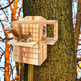 Memorywuu spacious wooden retreat promotes comfortable nesting and activity for a family