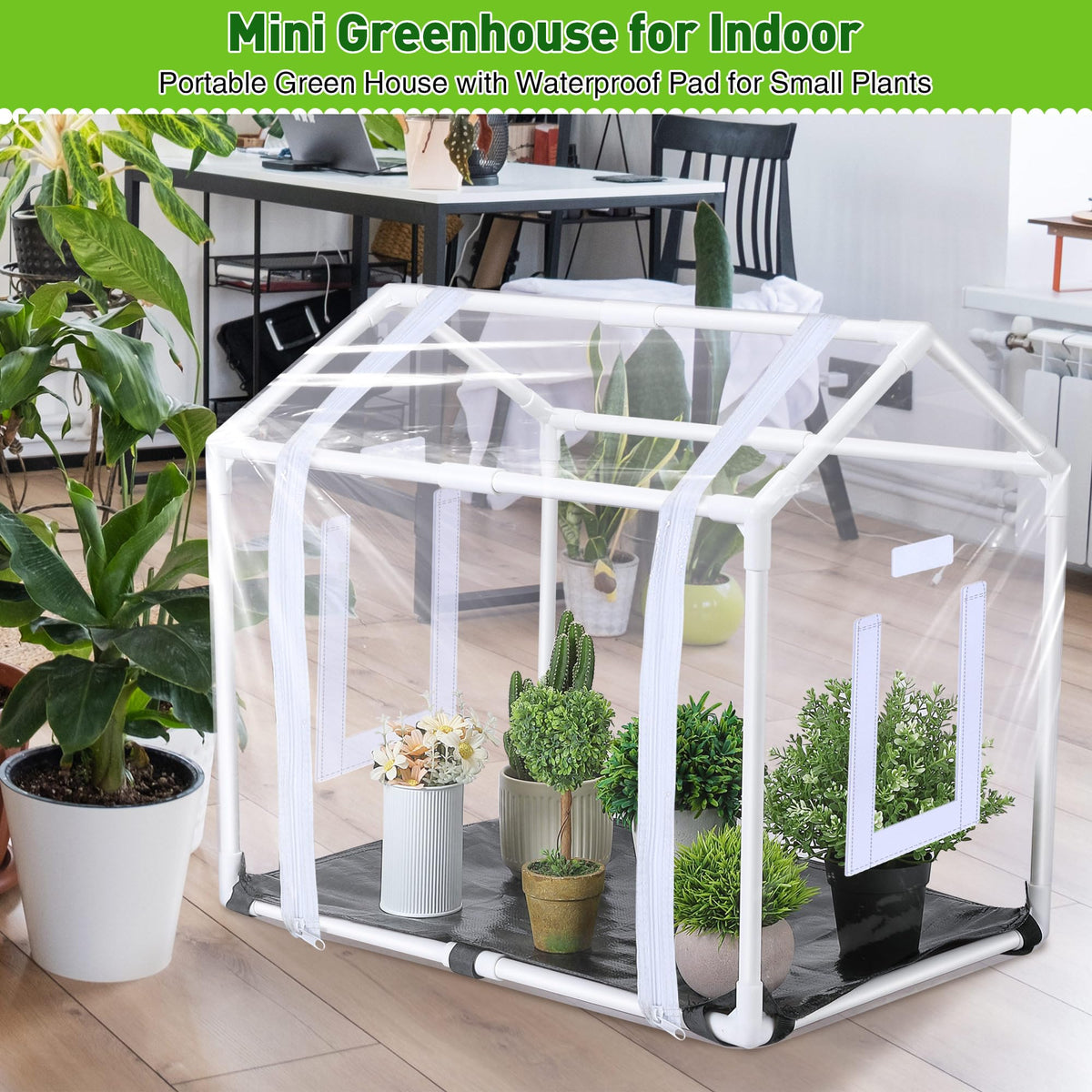 Meonum indoor garden setup demonstrating compact display