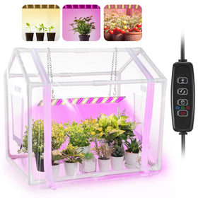 Meonum mini greenhouse tent shielding seedlings in a compact indoor space.