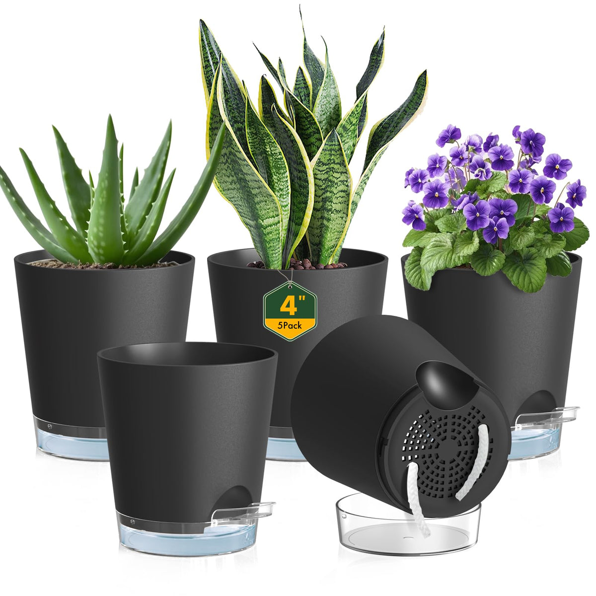 Meowell 4in self-watering pot with drainage holes prevents overwatering.