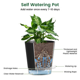 Meowell 4in self-watering pot five-pack is ideal for busy homes.