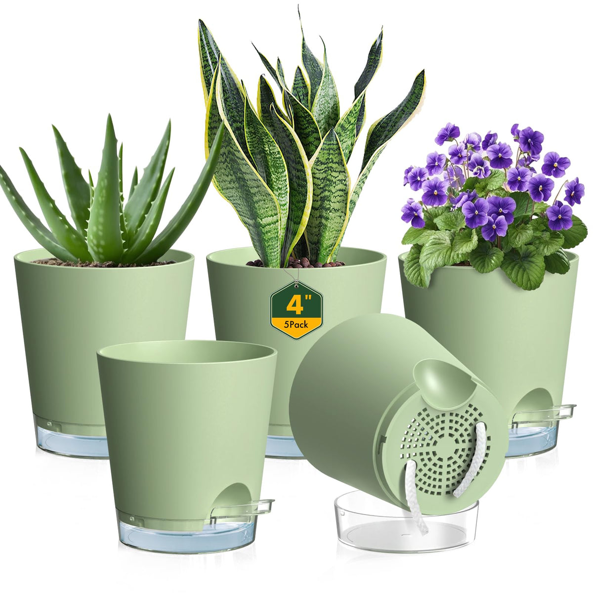 Meowell 4-inch self-watering pot front view in green for compact indoor display
